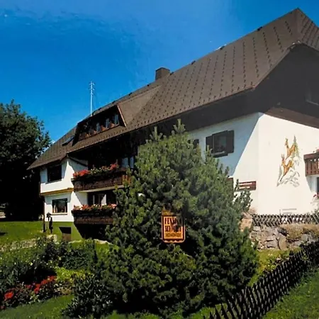 Pension Schmidt - Schwarzwaldnest - Voll Ausgestattetes Apartment Haeusern Exterior photo