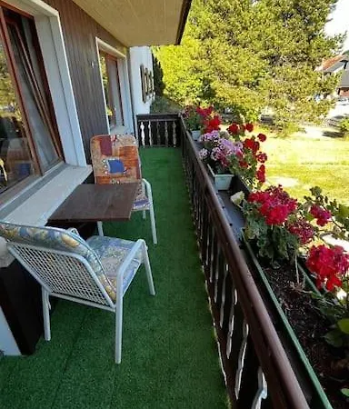 Pension Schmidt - Schwarzwaldnest - Voll Ausgestattetes Apartment Haeusern Exterior photo