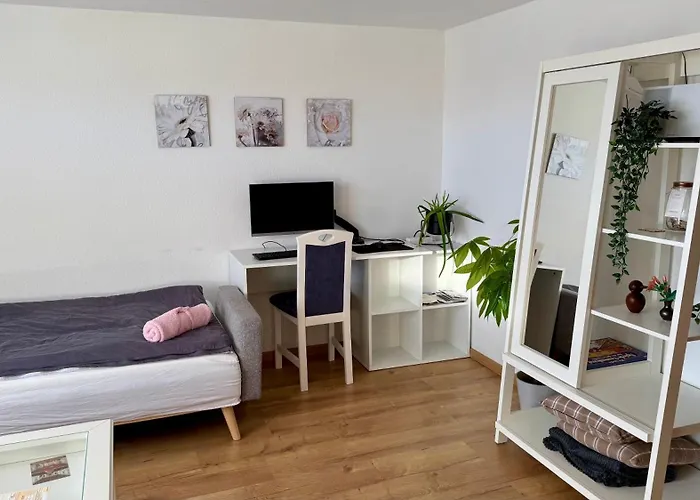 Pension Schmidt - Schwarzwaldnest - Voll Ausgestattetes Apartment