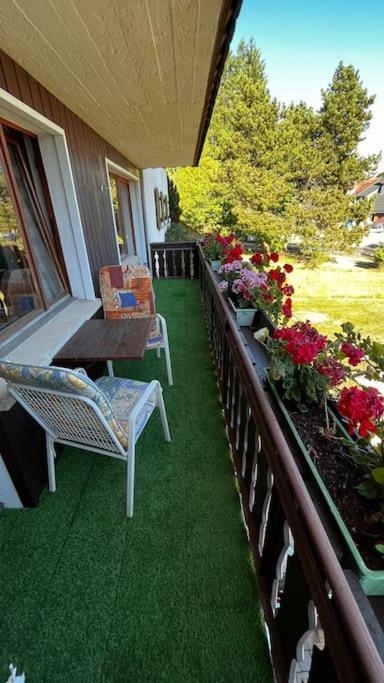 Apartment Schmidt - Schwarzwaldnest - Voll Ausgestattetes *